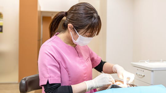 審美歯科治療 - 菜の花ファミリー歯科（西成区玉手・岸里玉出駅）